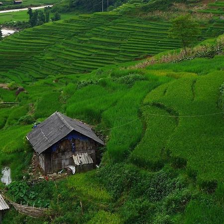 Freedom Homestay & Trekking Sa Pa Ngoại thất bức ảnh