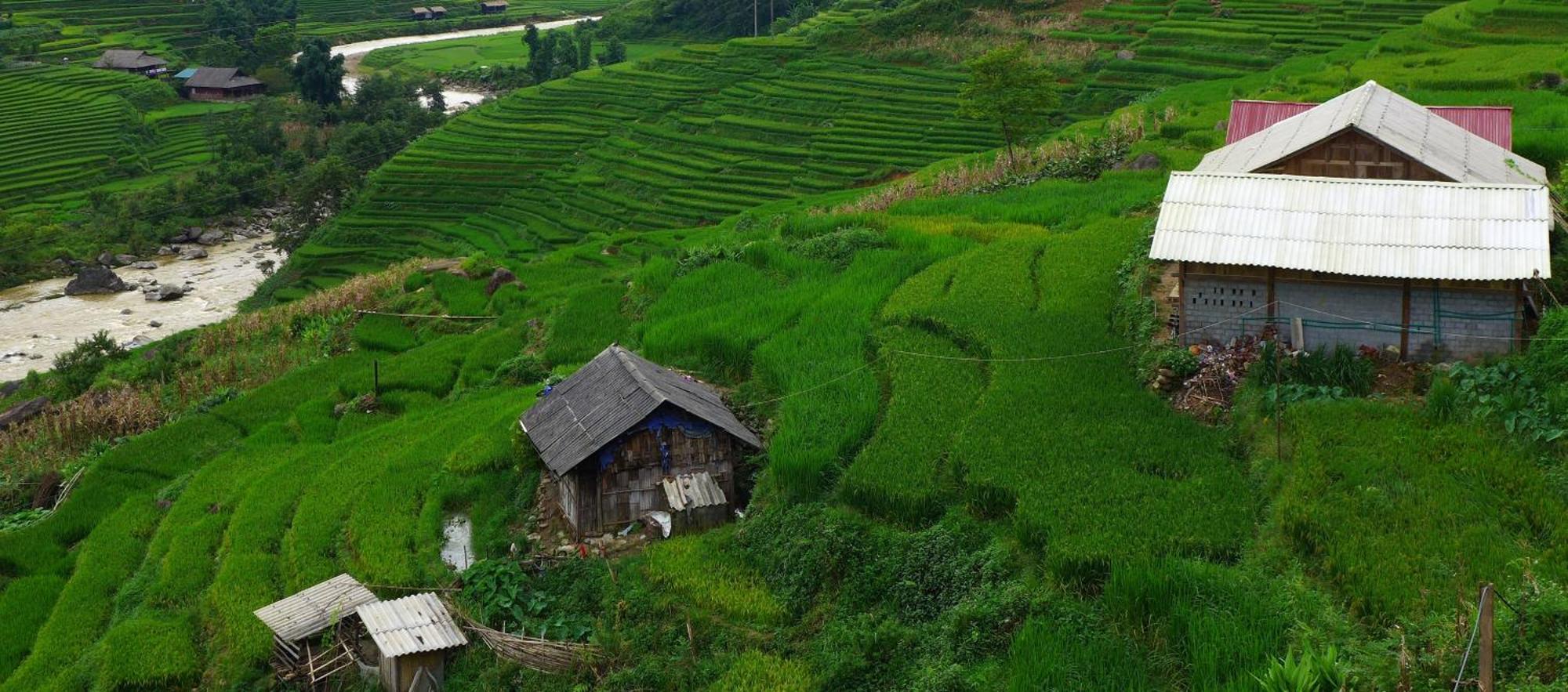 Freedom Homestay & Trekking Sa Pa Ngoại thất bức ảnh