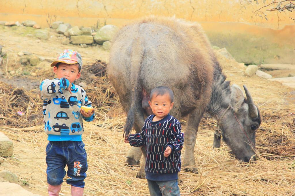 Freedom Homestay & Trekking Sa Pa Ngoại thất bức ảnh