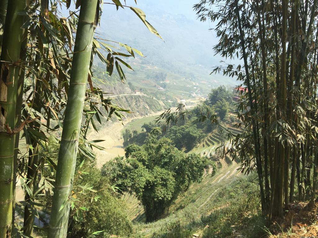Freedom Homestay & Trekking Sa Pa Ngoại thất bức ảnh