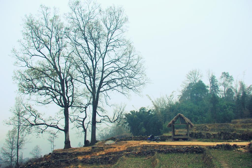 Freedom Homestay & Trekking Sa Pa Ngoại thất bức ảnh