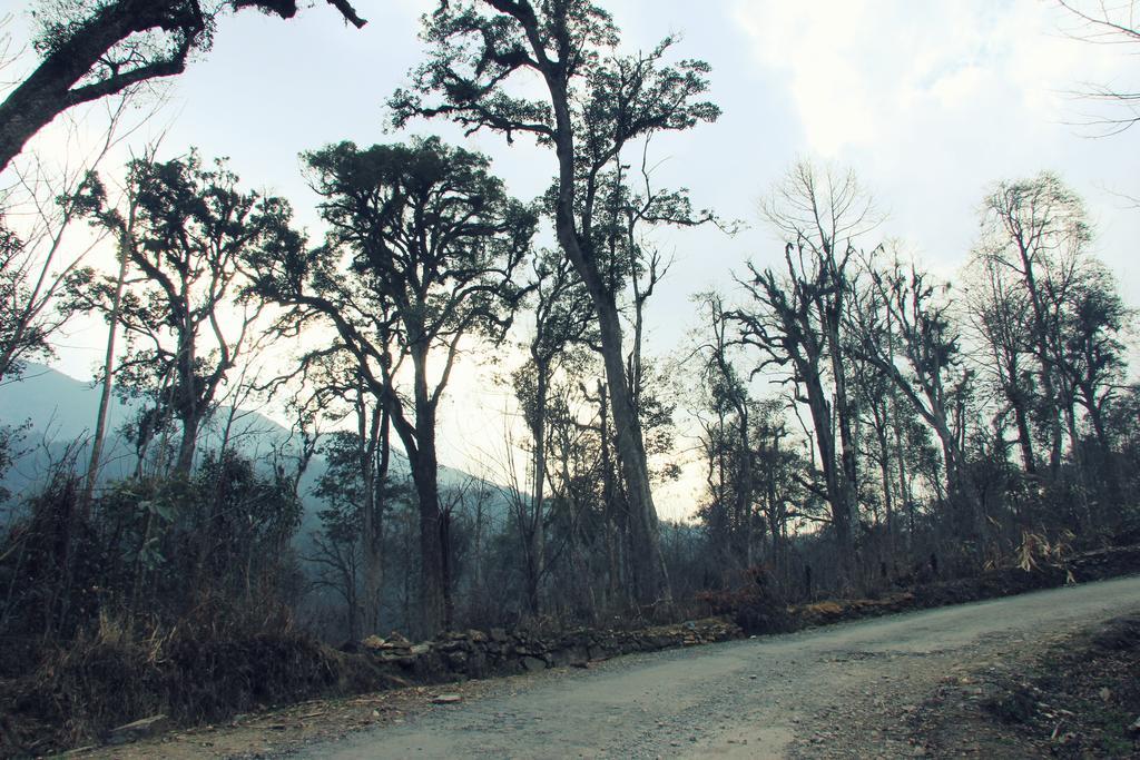 Freedom Homestay & Trekking Sa Pa Ngoại thất bức ảnh