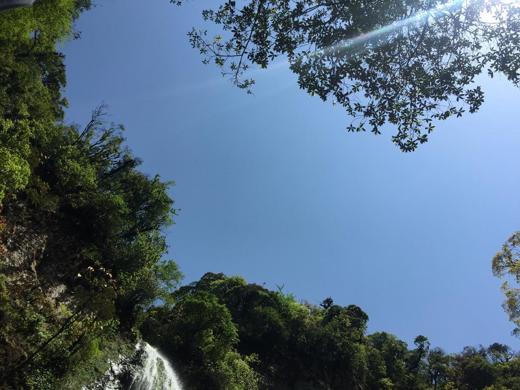 Freedom Homestay & Trekking Sa Pa Ngoại thất bức ảnh