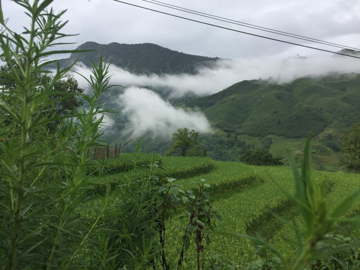 Freedom Homestay & Trekking Sa Pa Ngoại thất bức ảnh