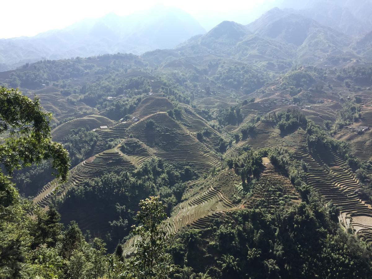 Freedom Homestay & Trekking Sa Pa Ngoại thất bức ảnh